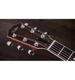 Taylor Legacy 815e