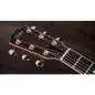 Taylor Legacy 815e