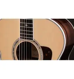 Taylor Legacy 815e
