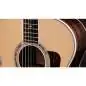 Taylor Legacy 815e