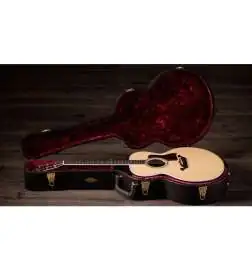 Taylor Legacy 815e