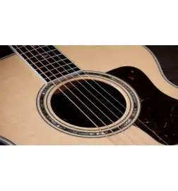 Taylor Legacy 815e