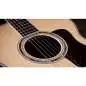 Taylor Legacy 815e