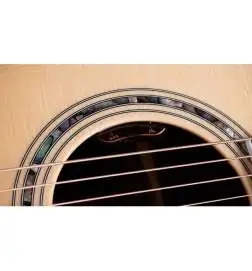 Taylor Legacy 815e