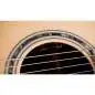 Taylor Legacy 815e