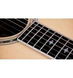 Taylor Legacy 815e