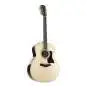 Taylor 50th Anniversary 858e LTD 12-String Taylor 50th Anniversary 858e LTD 12-String