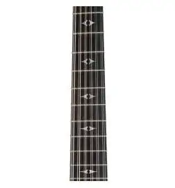 Taylor 50th Anniversary 858e LTD 12-String
