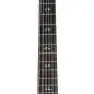 Taylor 50th Anniversary 858e LTD 12-String Taylor 50th Anniversary 858e LTD 12-String