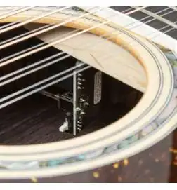 Taylor 50th Anniversary 858e LTD 12-String