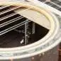 Taylor 50th Anniversary 858e LTD 12-String Taylor 50th Anniversary 858e LTD 12-String