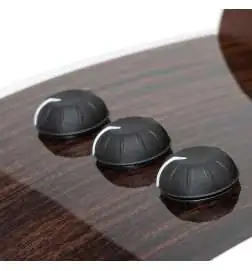 Taylor 50th Anniversary 858e LTD 12-String