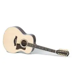 Taylor 50th Anniversary 858e LTD 12-String