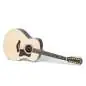 Taylor 50th Anniversary 858e LTD 12-String Taylor 50th Anniversary 858e LTD 12-String