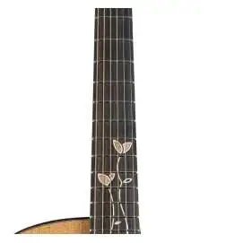 Ibanez JGM11 Jon Gomm