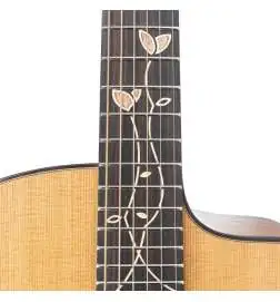 Ibanez JGM11 Jon Gomm
