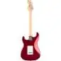 Fender Standard Strat HSS LRL Candy Cola