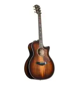 Taylor Builder s Edition 814ce Sinker Redwood