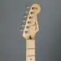 Fender Player Stratocaster MN Surf Green