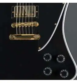 Gibson Firebird Custom Ebony