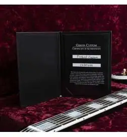 Gibson Firebird Custom Ebony