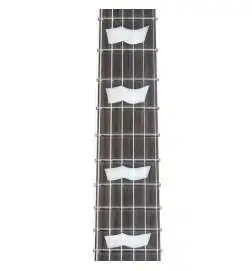 ESP LTD EC-1000FR See Thru Black