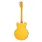 Epiphone Sheraton Natural