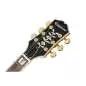Epiphone Sheraton Natural