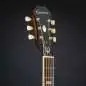 Epiphone Masterbilt Frontier