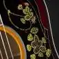 Epiphone Masterbilt Frontier