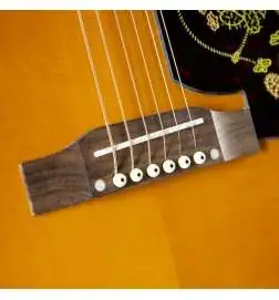 Epiphone Masterbilt Frontier