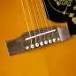 Epiphone Masterbilt Frontier