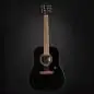 Epiphone DR-100 EB Ebony