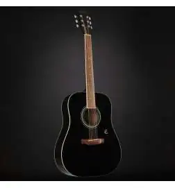 Epiphone DR-100 EB Ebony