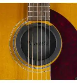 Epiphone Masterbilt Texan