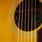 Epiphone Masterbilt Texan