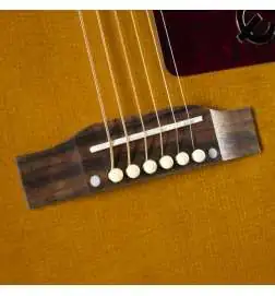 Epiphone Masterbilt Texan