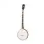 Epiphone Mastertone Bowtie Open Back