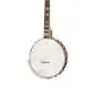 Epiphone Mastertone Bowtie Open Back