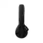 Epiphone Mastertone Bowtie Open Back