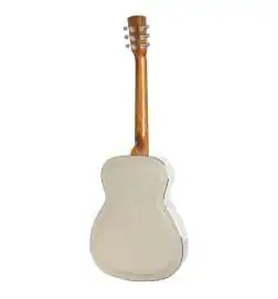 Epiphone Dobro Hound Dog M-14