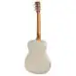 Epiphone Dobro Hound Dog M-14