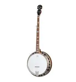 Epiphone Mastertone Classic Banjo Natural