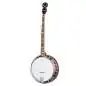Epiphone Mastertone Classic Banjo Natural