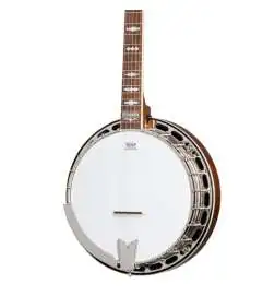 Epiphone Mastertone Classic Banjo Natural