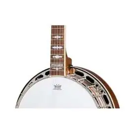 Epiphone Mastertone Classic Banjo Natural