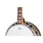 Epiphone Mastertone Classic Banjo Natural