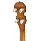 Epiphone Mastertone Classic Banjo Natural