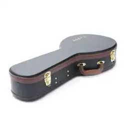 Epiphone A-Style Mandolin Case 940-ED20