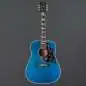 Gibson Miranda Lambert Bluebird
